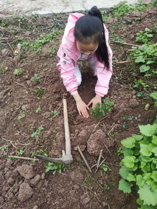 QQ图片20200325094025.png