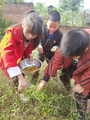QQ图片20201021170309.png