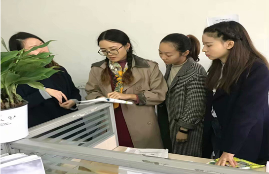 QQ图片20201030113725.png