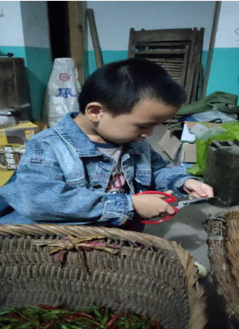 QQ图片20201110110332.png