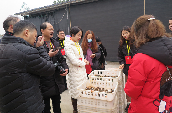 QQ图片20201208172405.png