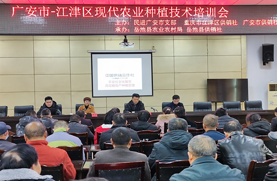 QQ图片20201211093729.png