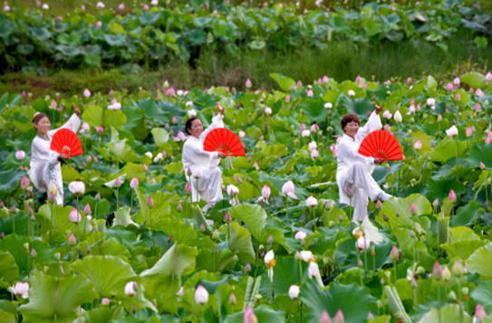 QQ图片20201230184540.png