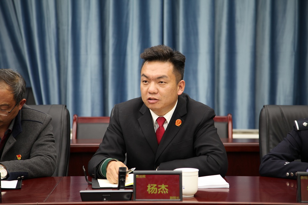 县法院副院长杨杰发言.JPG