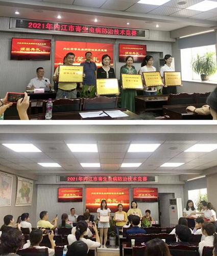 竞赛五.jpg