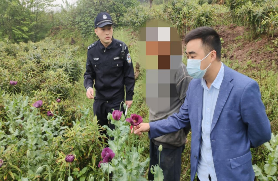QQ图片20220408105501.png