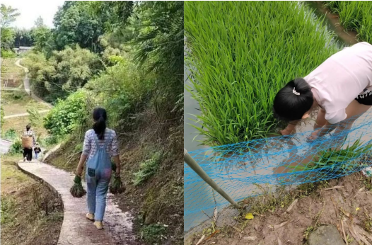 QQ图片20220506112137.png