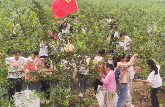 QQ图片20220614231659.png