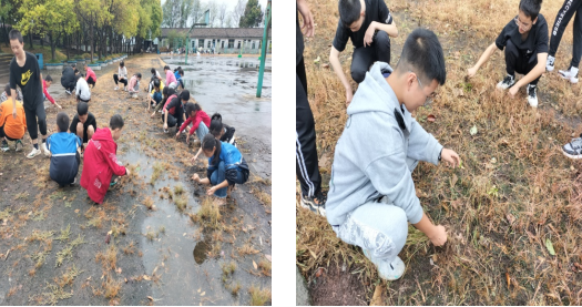 QQ图片20220901201138.png
