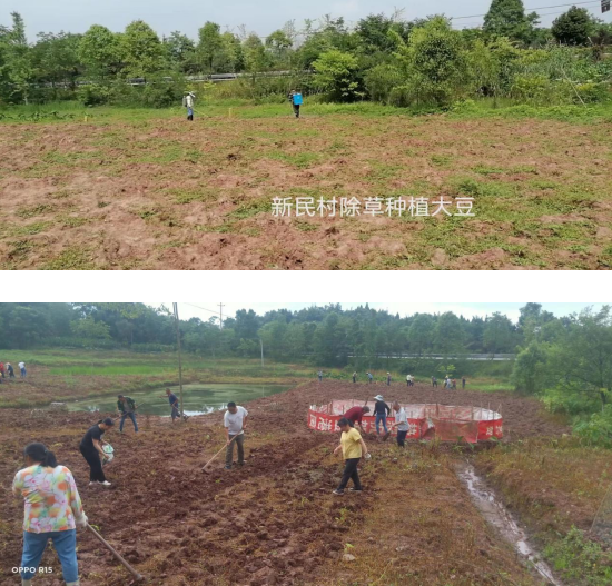 QQ图片20221102164620.png