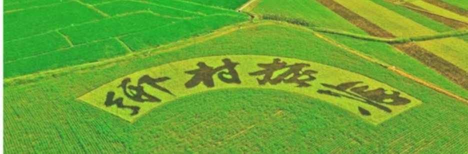 1667909299735380.png
