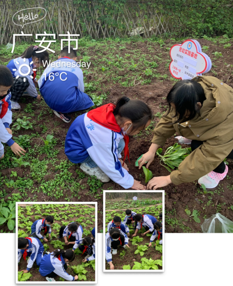 QQ图片20221116170408.png