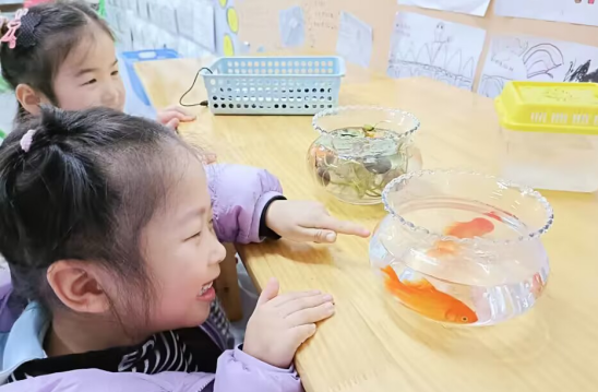 QQ图片20221203093756.png