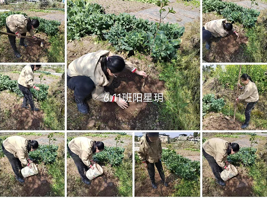 QQ图片20230314094439.png