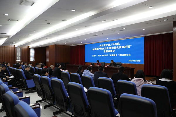 会议现场.JPG