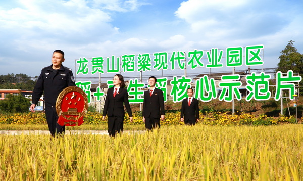 大力弘扬新时代“枫桥经验”.jpg