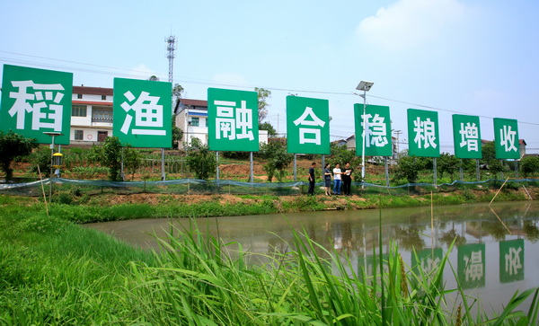 走访农虾养殖户4.JPG