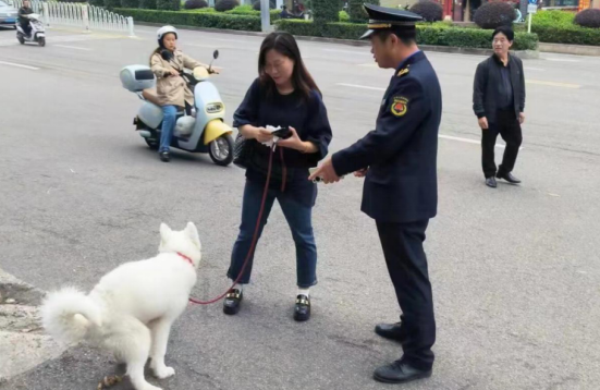 QQ图片20231031102512.png