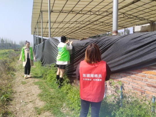 东坡区三苏镇网格员开展禁毒铲毒踏查工作