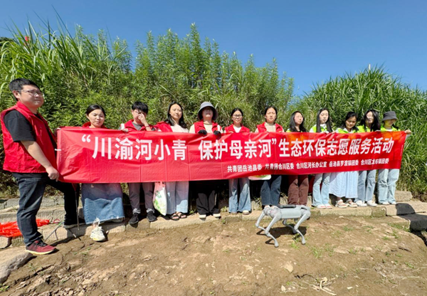 图片 1.png