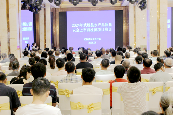 图片 1.png